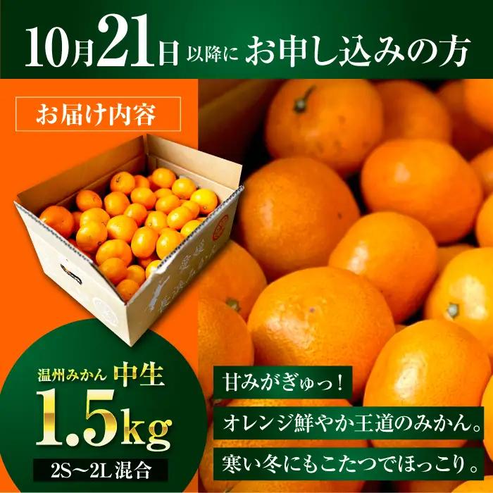 みかん みかん 1.5kg （2S-2L）[AGBC020]