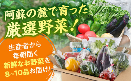 【全9回定期便】旬な野菜おまかせ詰め合わせセット【合志物産販売 志来菜彩】[AYCA005]