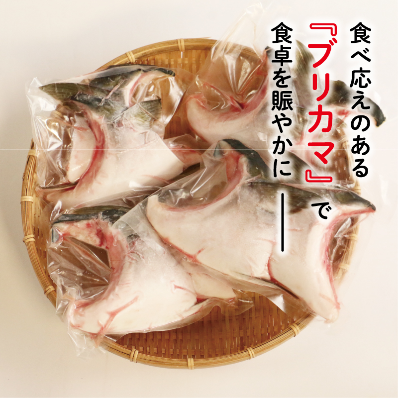 ブリカマ 2切れ × 4パック 10000円 冷凍 サイズ 不揃い ぶりかま ぶりカマ 鰤かま 少額 食べ物 旬 お手軽 魚海鮮 魚介 父の日 小分け 真空 パック 新鮮 鮮魚 養殖 国産 鰤 ぶり 