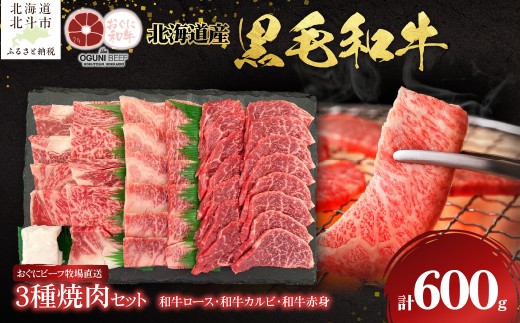 北海道産 黒毛和牛 おぐにビーフ 牧場直送 3種焼肉セット 600g 【 ふるさと納税 人気 おすすめ ランキング 牛 牛肉 黒毛和牛 肉 おぐにビーフ ロース ステーキ カルビ 赤身 ろーす かるび セット 焼肉 焼き肉 焼き肉用 バーベキュー BBQ 食べ比べ ギフト 贈答 北海道 北斗市 送料無料 】 HOKQ002