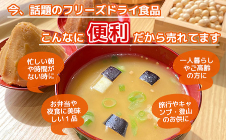 フリーズドライ業務用 揚げなすの味噌汁15食 BY007