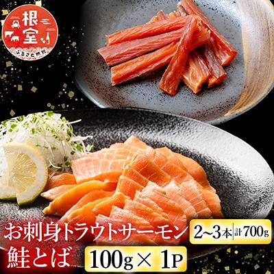 ふるさと納税 根室市 トラウトサーモン2〜3本&amp;鮭とば100g A-09123