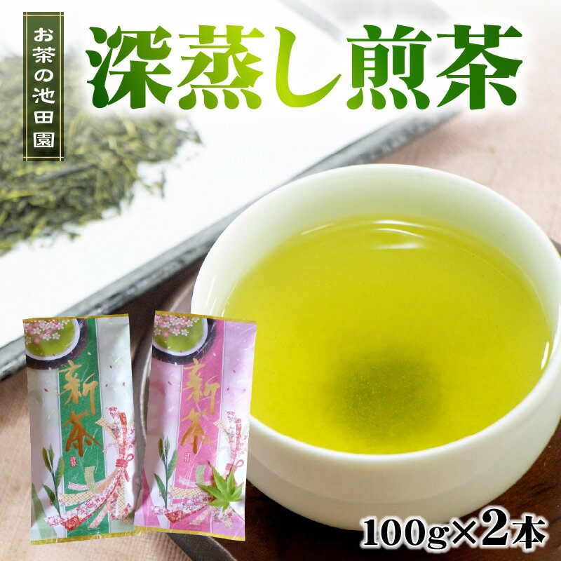 【ふるさと納税】 お茶の池田園 深蒸し煎茶100g×2本【熊本県宇土市】