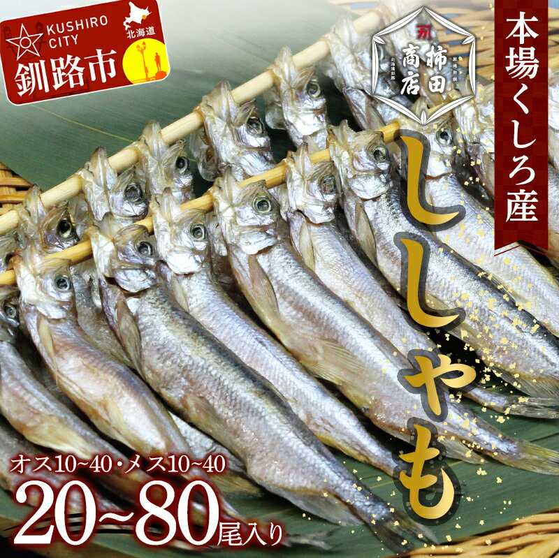 【ふるさと納税】＼容量が選べる／ 本場くしろ産 ししゃもオス・メス20〜80尾入り！ 本ししゃも 魚 ししゃも 魚好きのオス プチプチたまごのメス 魚介 グルメ シシャモ 北海道産 国産 魚 魚介 海の幸 F4F-5537var