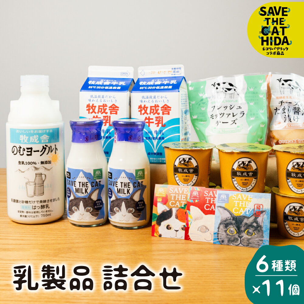 【ふるさと納税】【2週間以内に発送】にゃんにゃん乳製品セット 牛乳 飲むヨーグルト 生クリームヨーグルト モッツァレラチーズ 牧成舎 福袋 詰め合わせ (猫 保護猫 飛騨 SAVE THE CAT HIDA支援) ねこ ネコ プレゼント ギフト かわいい 可愛い [neko_j6] 日時指定可