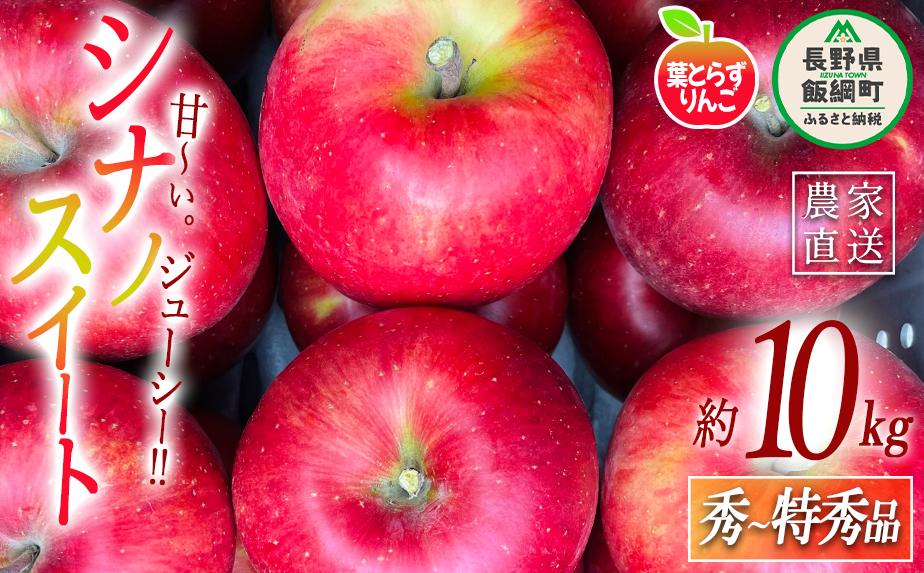 
            りんご 葉とらず シナノスイート 秀 〜 特秀 10kg フレッシュフルーツミカズキ 2025年10月中旬頃から2025年10月下旬頃まで順次発送予定 令和7年度収穫分 信州 果物 フルーツ リンゴ 林檎 長野 43500円 予約 農家直送 長野県 飯綱町 [1649]
          