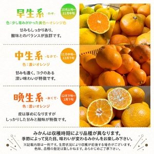 【先行予約】【農家直送】【和歌山県産】有田育ちのご家庭用完熟 有田みかん 8.5kg+200g(傷み補償分)【2S～2Lサイズ混合】【発送時期指定可】１2月より順次発送　※北海道・沖縄・離島配送不可 