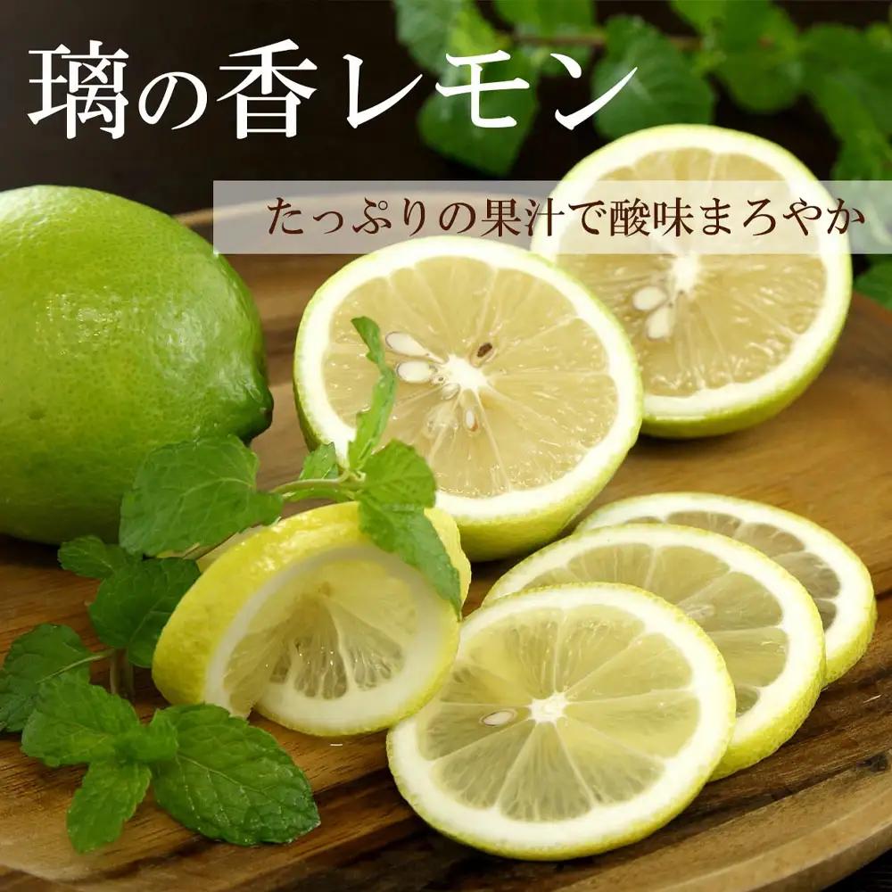 【先行予約】璃の香レモン 約3kg（8〜15個） 高知県土佐市 【株式会社SHIRAKI】 [BQAI025]