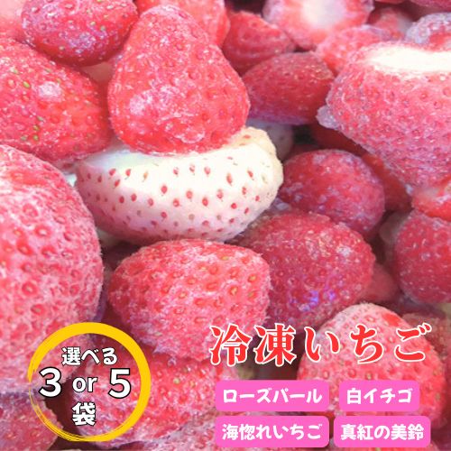 【ふるさと納税】冷凍いちご4種　高級品種 いちご 冷凍　500g×3袋・500g×5袋選べる 高知県 奈半利町