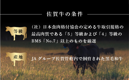 ＜定期便3回＞佐賀牛ステーキ食べ比べ
