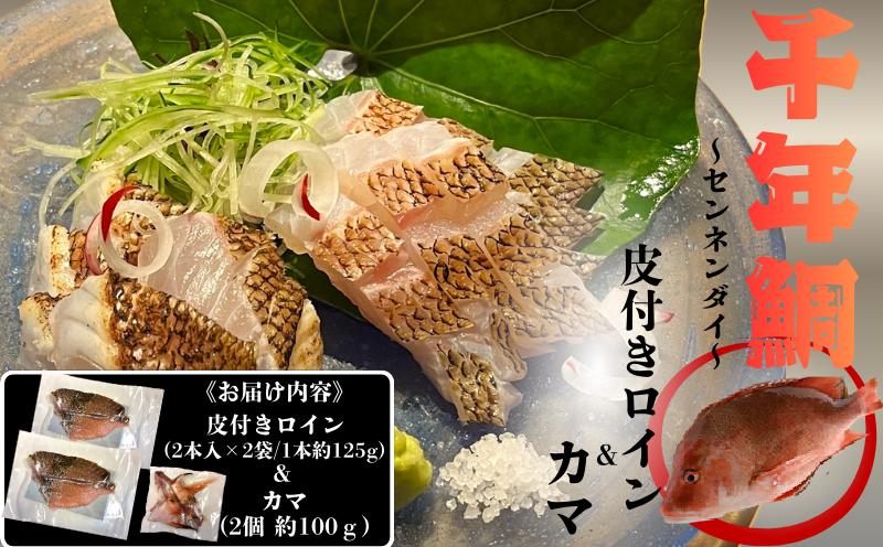 
                  C3-7709／康秀の千年鯛 皮付き ロイン 4本 ＆ カマ 2個付
                
