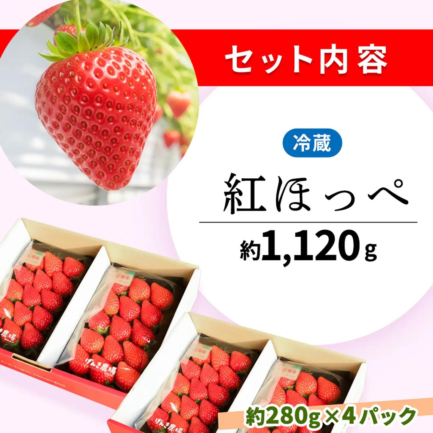 【2027年4月発送】【先行予約】【農場直送！】紅ほっぺ(約280g×4P) K100108