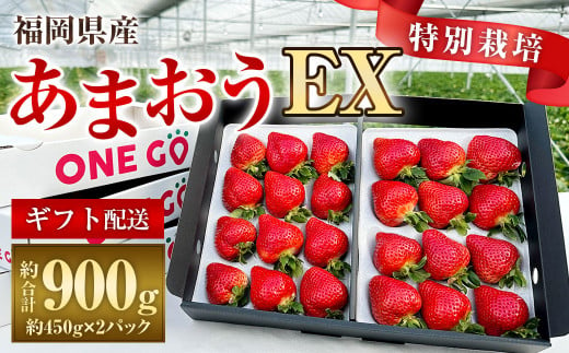 ギフト配送 福岡県産あまおう EX 約450g×2パック 合計約900g 〈特別栽培〉【2025年1月上旬～3月下旬発送予定】