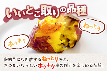 長期熟成 紅はるか 計3kg 宮崎県都城市産 さつまいも サツマイモ