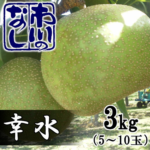 【ふるさと納税】市川の梨　幸水3キロ（5～10個入り）【12203-0084】