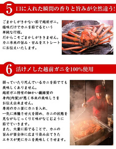 【先行予約】【蟹問屋 越前田村屋 究極の逸品】越前がに (セイコ）甲羅盛　6個セット［D-029017］