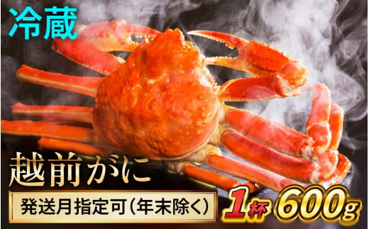 【配送月指定可】越前がに 600ｇ×1ハイ｜蟹 かに カニ 越前ガニ 越前がに ズワイガニ ずわいがに ボイル 600g 1杯 1ハイ 福井 冷蔵 送料無料