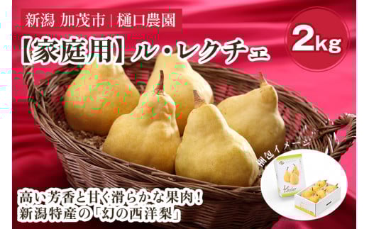 【2025年先行予約】【家庭用】西洋梨 ル・レクチェ 2kg（5～7玉） 《11月下旬から順次発送》 果物 梨 洋梨 西洋梨 フルーツ 訳あり 冬の味覚 デザート 産地直送 加茂市 樋口農園