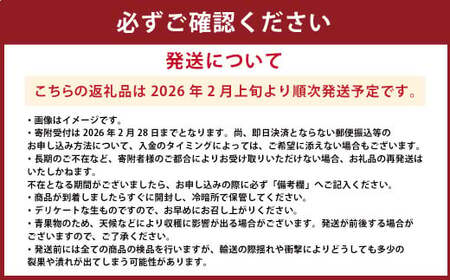 熊本県産 不知火おでこ 約5kg 蜜柑 みかん 柑橘 フルーツ 果物 くだもの 【2026年2月上旬発送開始】