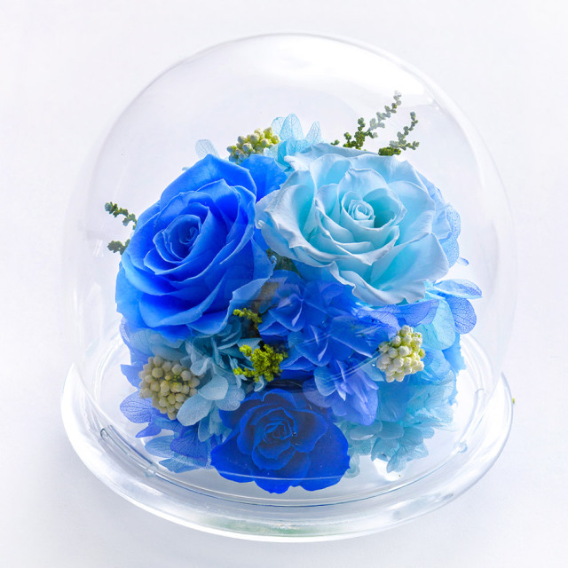 ガラスドームL 花 お花 プリザーブドフラワー ギフト プレゼント お祝い 誕生日 お供え アレンジ インテリア 東京都 墨田区【レッド】