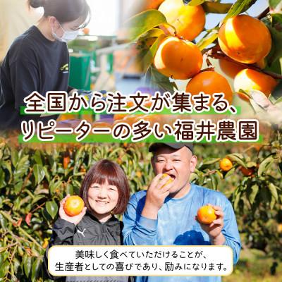 ふるさと納税 本巣市 《 訳あり 》 福井農園の富有柿  お試し 8〜11個入り S-Mサイズ |  | 02