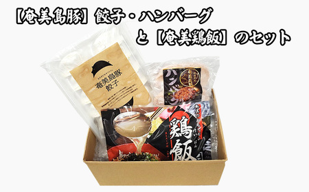 【奄美鶏飯】と【奄美島豚】餃子・ハンバーグのセット 豚肉