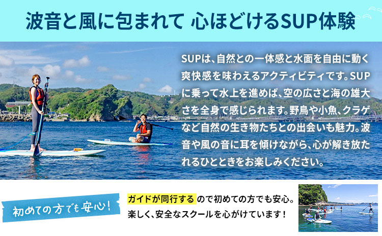 初心者向けSUP体験ツアー 1名様＋愛犬1匹 4-6月 GO4SURF《30日以内に出荷予定(土日祝除く)》千葉県 勝浦市 マリンアクティビティ体験 マリンスポーツ 海 SUP サップ 愛犬 わんちゃ