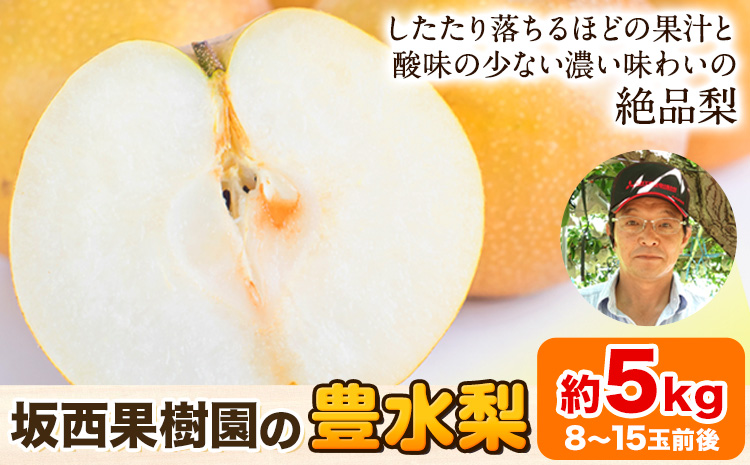 【先行予約】『坂西果樹園』の豊水梨 期間限定 たっぷり約5kg(8-15玉前後)こだわり抜かれた栽培方法！予約受付中 熊本県玉名郡玉東町産『坂西果樹園』なし 豊水 果物 スイーツ フルーツ デザート スムージー 熊本県玉東町《8月上旬-9月上旬頃出荷》---sg_csknasi_ad8_25_14000_5kg---