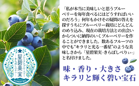 冷凍ブルーベリー 1kg（500g×2袋） きらぼしファーム ブルーベリー