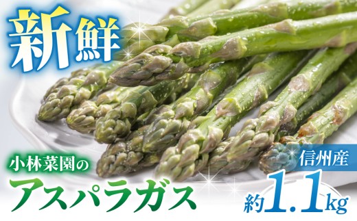 【先行受付2026年発送】農家直送！アスパラガス1.1kg（L～３Lサイズ）｜小林菜園　※2026年4月上旬以降発送