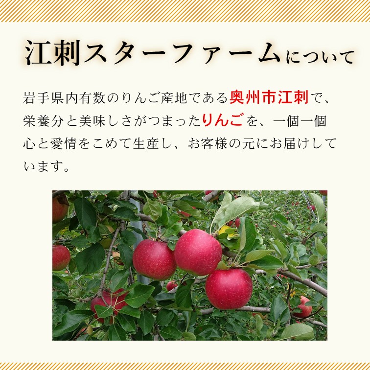 【スターファーム】 こだわり栽培の サンふじ 厳選品 約3kg 岩手県奥州市産りんご 産地直送 [AY004]