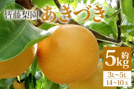 【皆藤梨園】梨 あきづき（約5kg/3L～5L/14～10玉）【9月上旬以降発送予定】 75-D