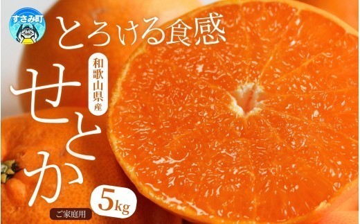 
                  【先行予約】【柑橘の大トロ】 とろける食感！ みかん せとか ご家庭用 約5kg 紀州和歌山産 みかん | 不揃い 規格外 訳あり みかん ミカン 蜜柑 せとか 果物 くだもの みかん フルーツ デザート 甘い おいしい かんきつ 柑橘 柑橘類 みかん せとか 国産 ※2027年2月中旬頃〜3月中旬頃順次発送予定 和歌山県 すさみ町 (お届け日指定不可)【uot748A】
                