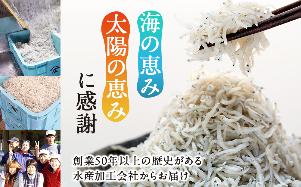 しらす 1kg 訳あり 冷凍 しらす干し 減塩 ごはん 丼 パスタ チャーハン サラダ 魚 料理 山庄 愛知県 南知多町 師崎