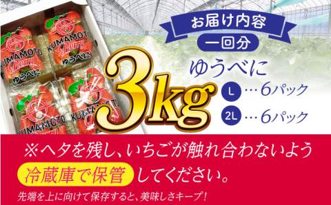 【先行予約】【3回定期便】大粒いちご L～2L ゆうべに 3kg（12pc）【熊本ベリー】 熊本 くまもと いちご イチゴ 苺 ゆうべに 大粒いちご  [ZER006]