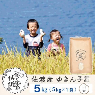 ふるさと納税 佐渡市 【毎月定期便】佐渡島産ゆきん子舞 白米5Kg 〜栽培期間中の農薬5割減〜全6回