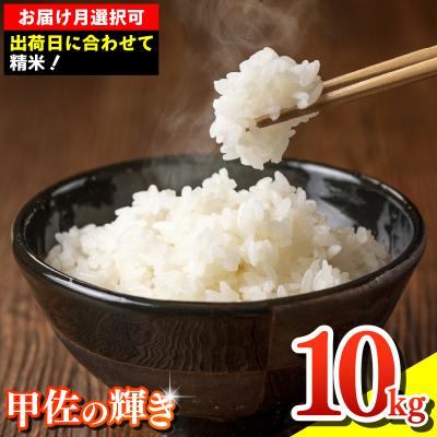 ふるさと納税 甲佐町 令和7年産『甲佐の輝き』精米10kg【配送指定可】【ZN】