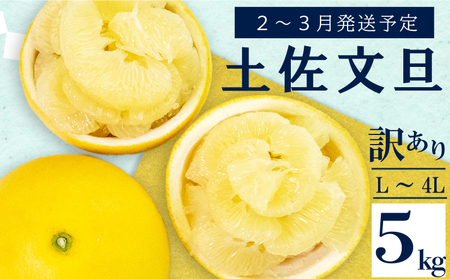 【2月上旬から発送】 訳あり文旦5kg L〜4L柑橘家庭用柑橘柑橘柑橘柑橘柑橘柑橘柑橘柑橘