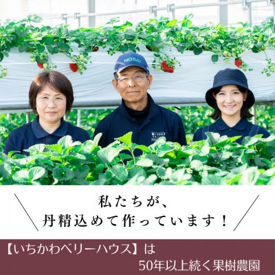 農園直送!厳選!山梨産シャインマスカット2房(1kg以上)【配送不可地域：離島・沖縄県】