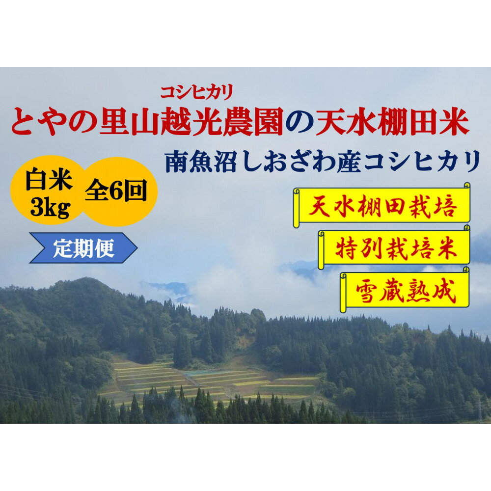 【ふるさと納税】令和7年産定期便【とやの里山越光農園の天水棚田米】特別栽培米雪蔵熟成しおざわ産コシヒカリ　精米3kg全6回　2025年12月下旬より発送