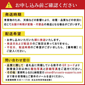 アイコ 約1.6kg 大瀧農園 トマト 完熟トマト 野菜 産地 直送 人気 国産 愛媛県 愛南町 発送期間：2026年3月1日～7月頃まで（※なくなり次第終了）