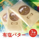 【ふるさと納税】酪農家が作った 自家製バター (有塩) 100g×3個 有塩バター 塩分控えめ 搾りたて生乳使用 手作り バター 宮城県 石巻市