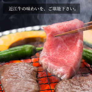 近江牛 焼肉 人気部位 食べ比べ（カルビ・赤身）計800g（各400g×2） ギフトにも 牛長商会 みんなのお肉本舗