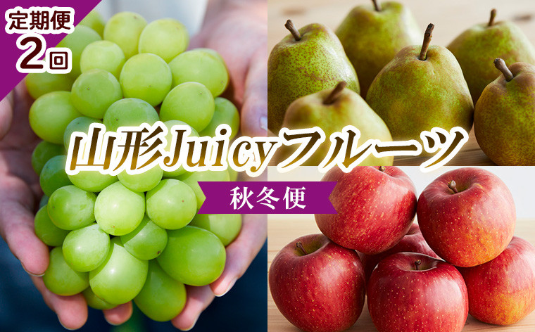 
            【定期便2回】山形 Juicyフルーツ 秋冬便 【令和7年産先行予約】FU23-925 くだもの 果物 フルーツ 山形 山形県 山形市 2025年産
          