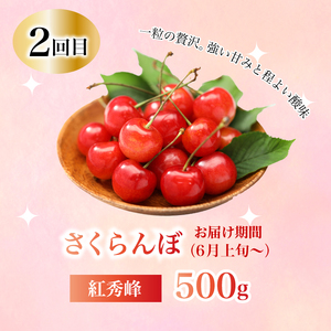 【定期便1年間】豪華フルーツお得パック いちご450g, さくらんぼ500g, 梨2kg, ぶどう2kg, りんご2kg 　詰め合わせ 定期便 1年間 採れたて 新鮮 産地直送 広島県三原市 0590