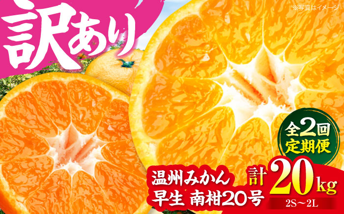 
            【全2回定期便】【11月中旬と12月中旬の2回発送】【ちょっと訳あり】温州みかん 10㎏ 2回 定期便 愛媛県大洲市/有限会社カーム/カームシトラス 温州みかん みかん 柑橘 みかんジュース 愛媛みかん [AGBW008]
          