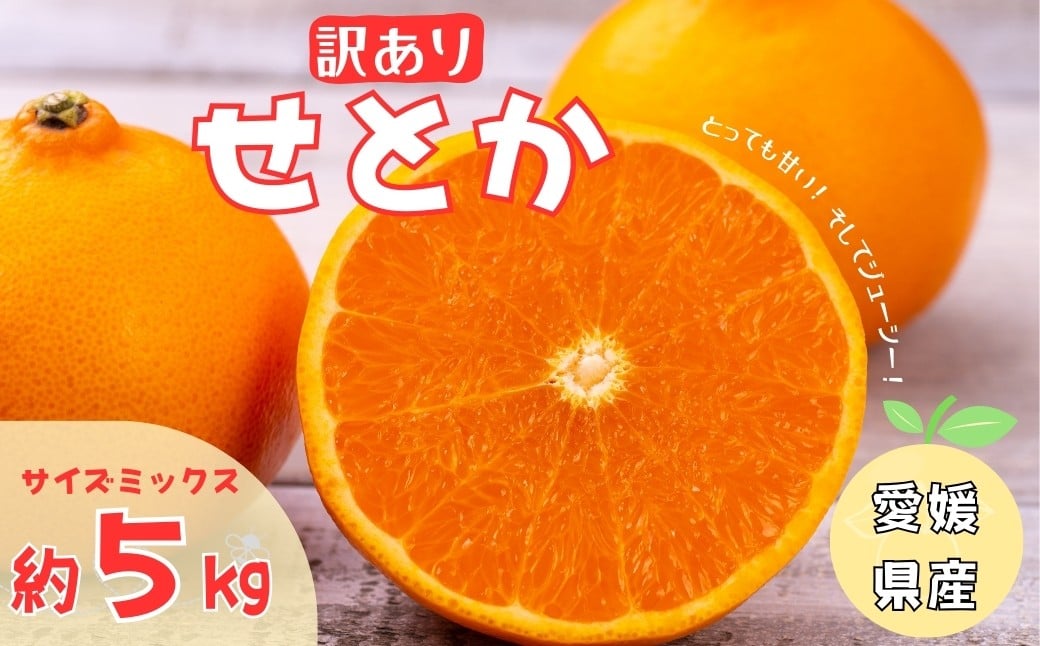 
            訳あり せとか 5kg ご家庭用 みかん 人気 数量限定 先行予約 愛媛 柑橘 【2026年2月中旬以降順次発送】｜B146
          