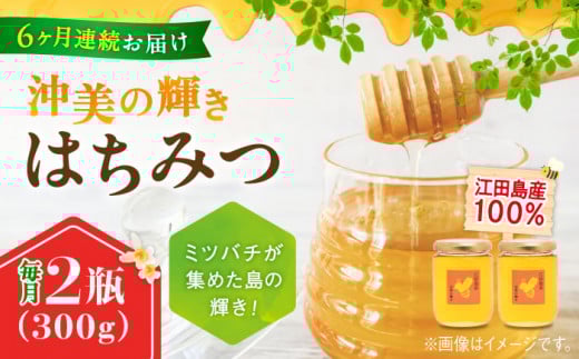 【全6回定期便】江田島産100％ はちみつ 『沖美の輝き』300g×2本 ハチミツ ハニー 蜂蜜 国産 広島 江田島市/はつはな果蜂園 [XCD025] ハチミツ 国産蜂蜜 国産はちみつ 国産純粋はちみつ 蜜 蜂蜜 はちみつ ハニー honey 人気ハチミツ 日本蜜蜂 純粋はちみつ 常温 保存 備蓄 防災食 非常食 保存食 産地直送 国産 定期便