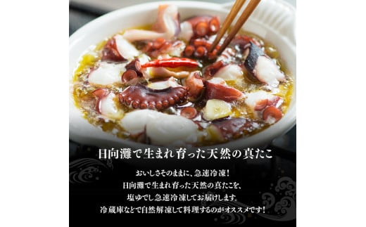 漁協直送！天然タコ（湯がき済）小分けで500g前後 【 たこ 蛸 海産物 日向灘 地どれ 】 [C01708]