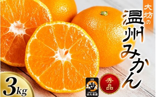 
                  温州みかん 宮川早生 3kg 大坊 / 田辺市 温州みかん みかん 大坊みかん 坂も農園 フルーツ【sme007】
                
